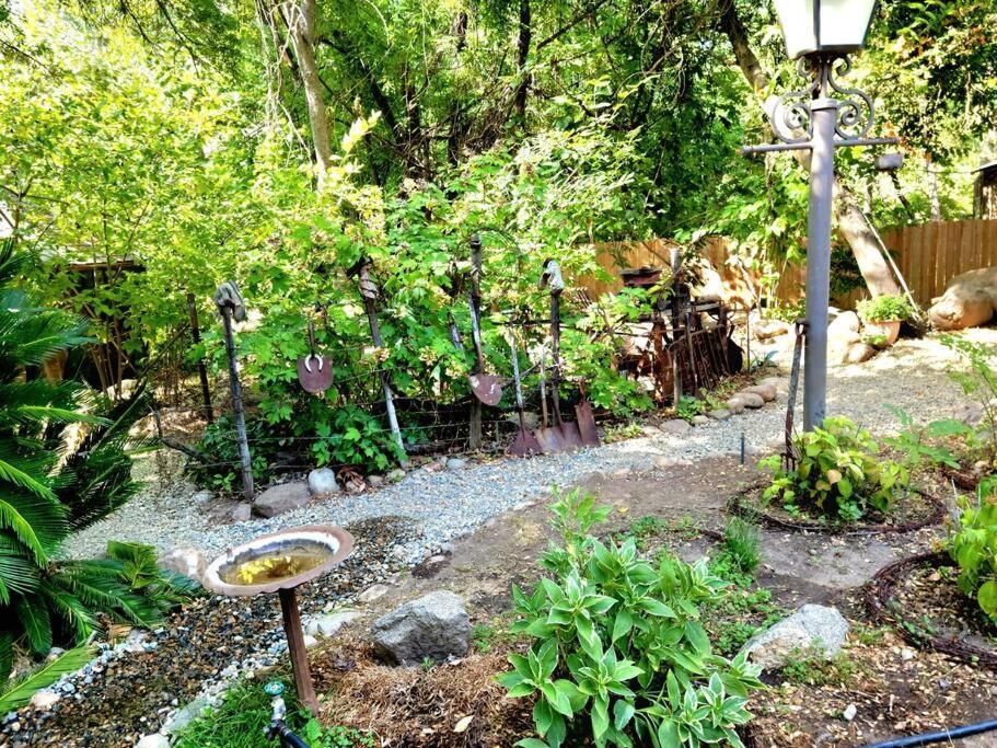 Magical River House ! 10 Min To Snp Park Entrance Three Rivers Luaran gambar