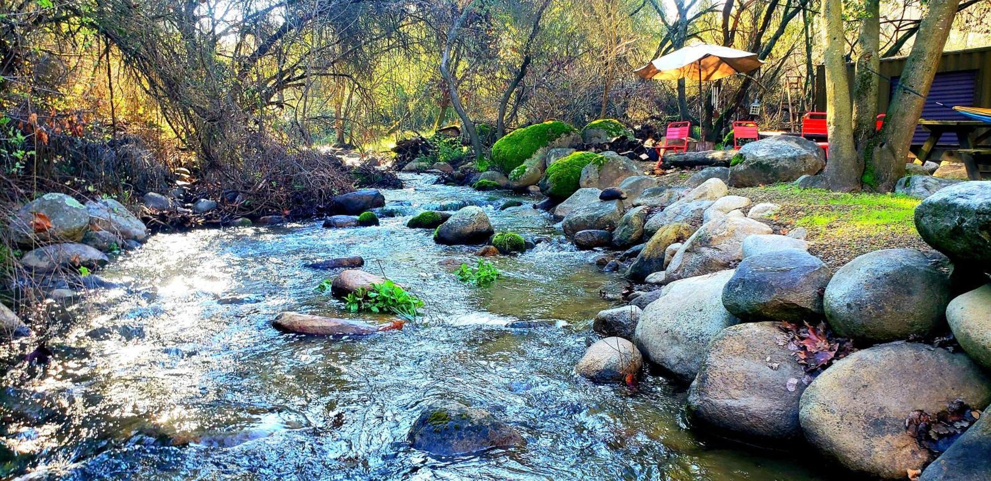 Magical River House ! 10 Min To Snp Park Entrance Three Rivers Luaran gambar