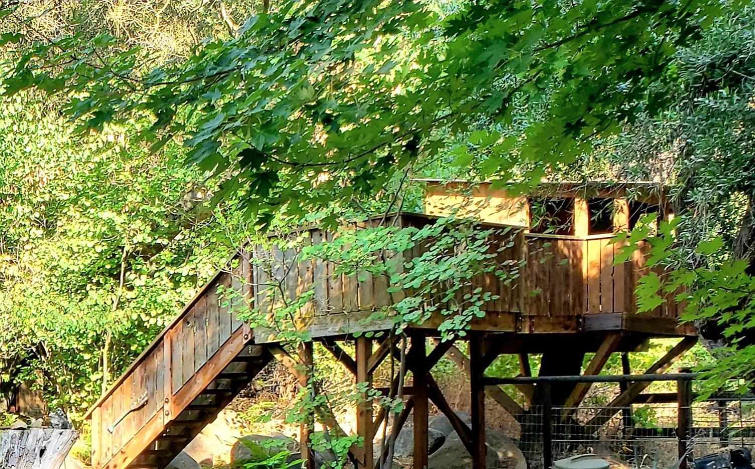 Magical River House ! 10 Min To Snp Park Entrance Three Rivers Luaran gambar